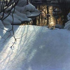 Robert Bateman-winter pond mergansers