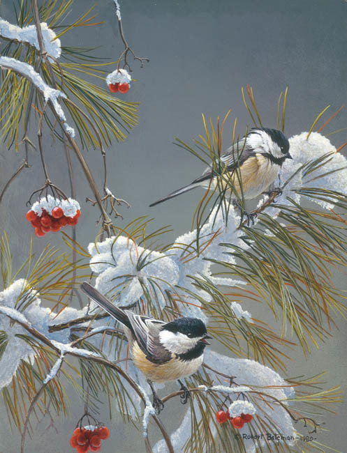 Robert Bateman-wintersong chickadees