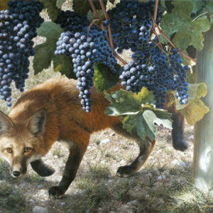 carl brenders-between the vines red fox