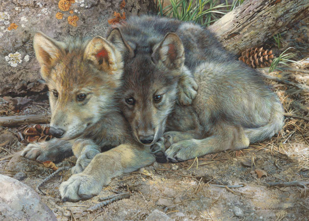 carl brenders-brotherly love wolf pups