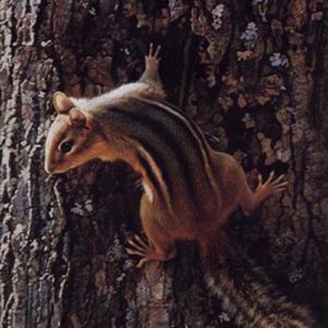 Carl Brenders-Narrow Escape Chipmunk