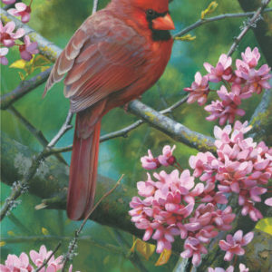 carl brenders-spark of ruby cardinal