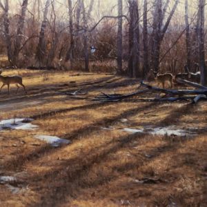 john banovich-winter shadows