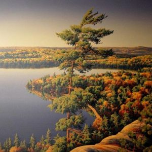 robert ross-above white fish lake