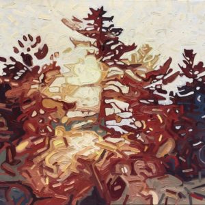 David Grieve - Shifting Pine 1