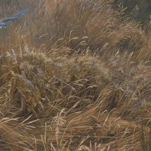 Robert-Bateman-Kestral-and-Grasshopper