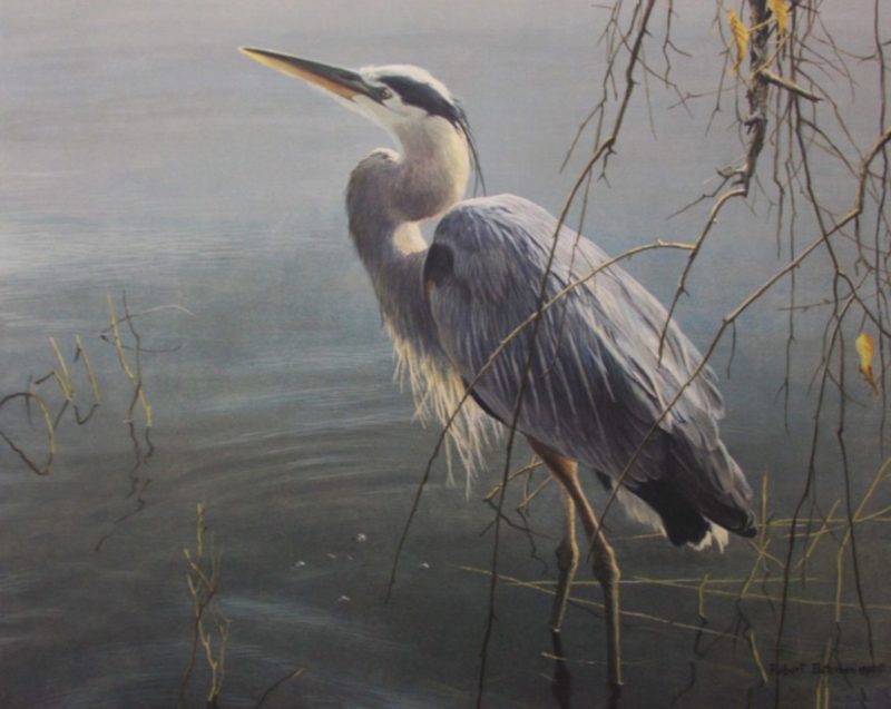 Robert-Bateman-Wading-Heron-and-Willow