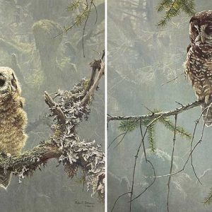 Robert Bateman - Continuing Generations