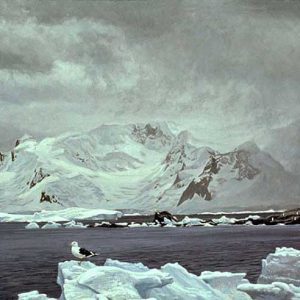 Robert Bateman-Antarctic Elements