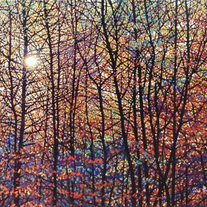 Tim Packer - Autumn Sunburst