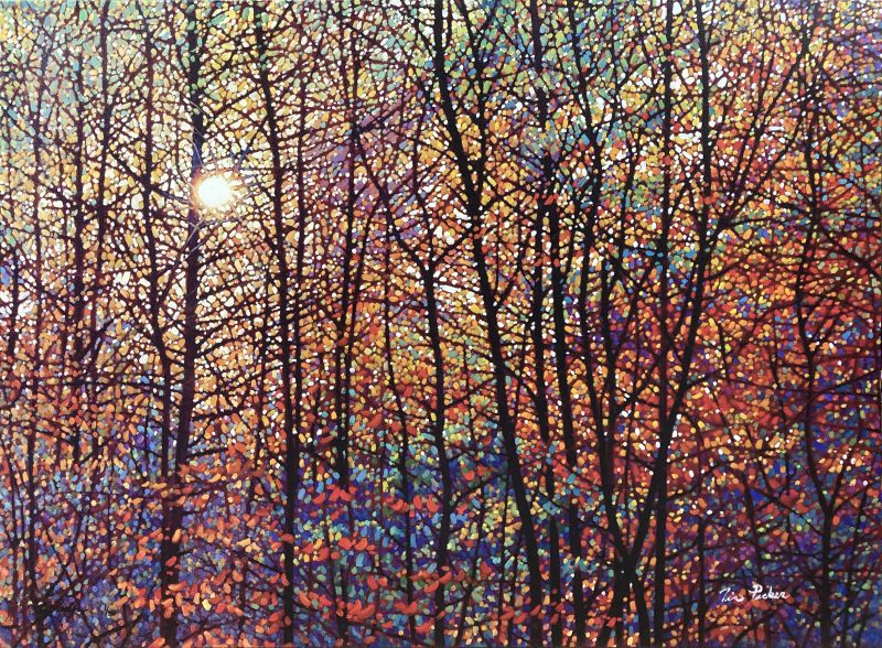 Tim Packer - Autumn Sunburst