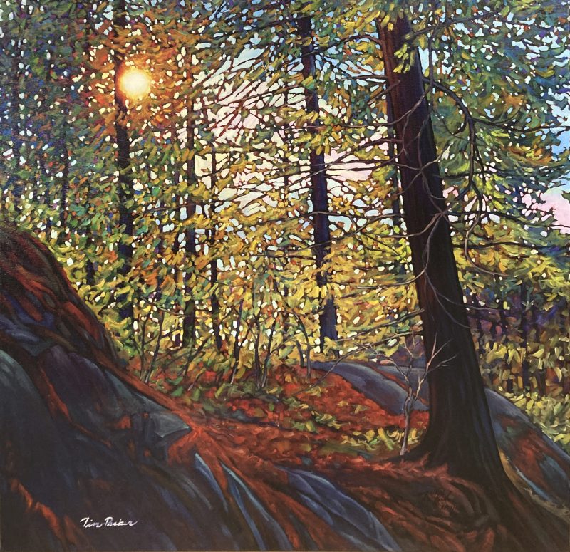 Tim Packer - Golden Light of Spring