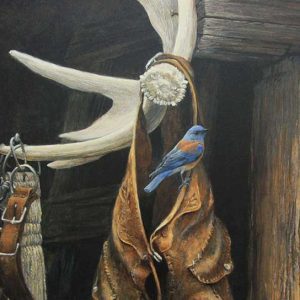 Robert Bateman-Chaps Western Bluebird