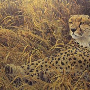 Robert Bateman - Cheetah with Cubs