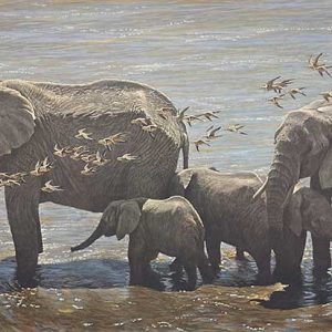 Robert Bateman-Elephant Herd and Sandgrouse