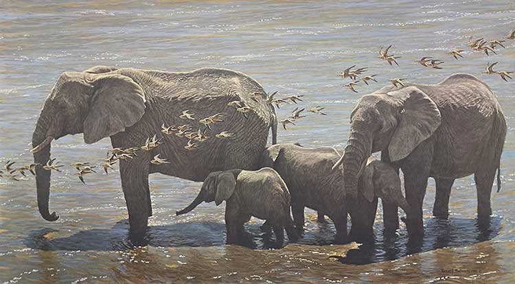 Robert Bateman-Elephant Herd and Sandgrouse