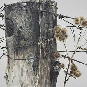 Robert Bateman-Fence Post and Burdock