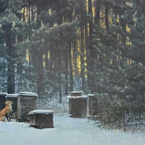 Robert Bateman-Fox and Beehives