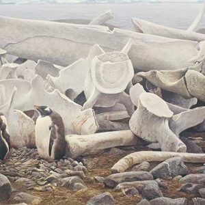 Robert Bateman-Gentoo Penguins and Whale Bones