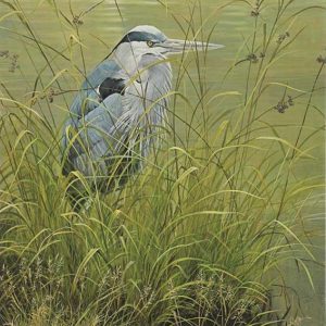 Robert Bateman-Grassy Bank-Great Blue Heron