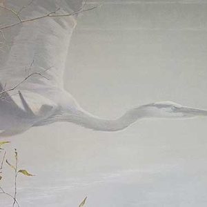 Robert Bateman-Great Blue Heron in Flight