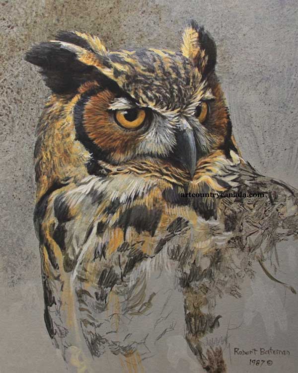 Robert Bateman-Great-Horned Owl-Study