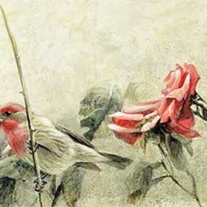 Robert Bateman-House Finch and Roses