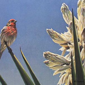 Robert Bateman-House Finch and Yucca