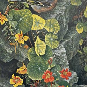 Robert Bateman-On the Garden Wall