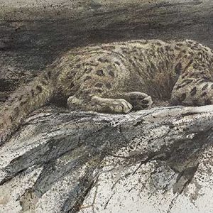 Robert Bateman - Reclining Snow Leopard
