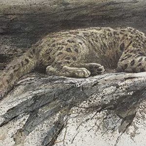 Robert Bateman-Reclining Snow Leopard