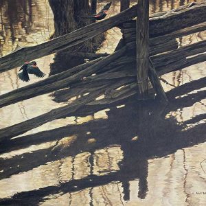 Robert Bateman-Redwing Blackbirds and Rail Fence