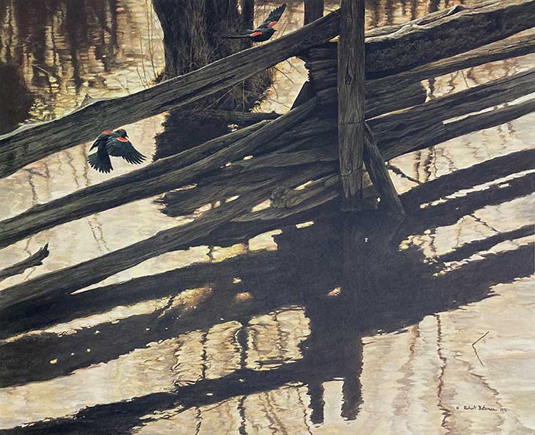 Robert Bateman-Redwing Blackbirds and Rail Fence