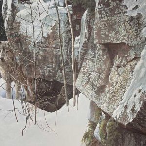 Robert Bateman-Silent Witness