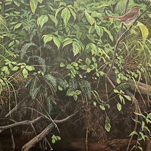 Robert Bateman-Stream Bank-June