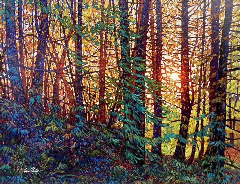 Tim Packer - Tangled Forest