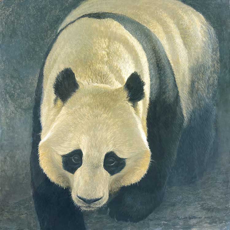 Robert Bateman-Approaching Giant Panda