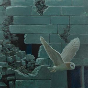 Robert Bateman Barn Owl Biddulph Hall