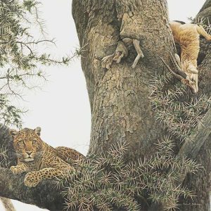 Robert Bateman - Leopard and Thomson Gazelle