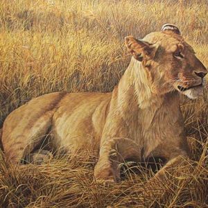 Robert Bateman-Lioness at Seringetti