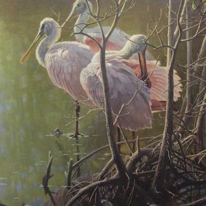 Robert Bateman-Mangrove Morning Roseate Spoonbill