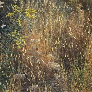 Robert Bateman-Marginal Meadow