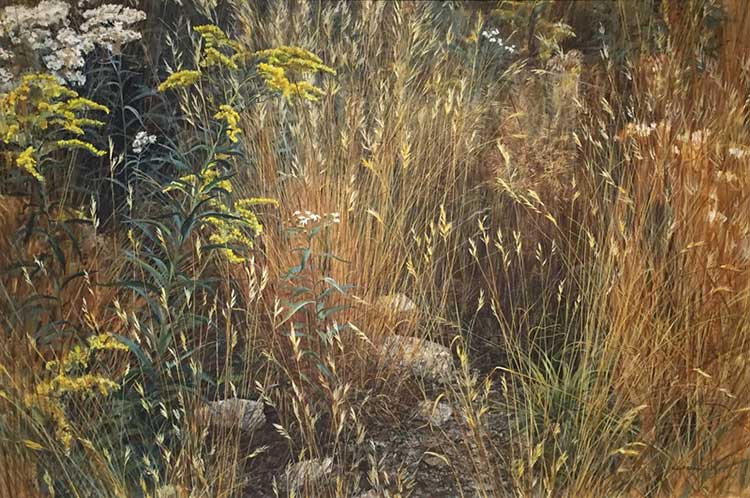 Robert Bateman - Marginal Meadow