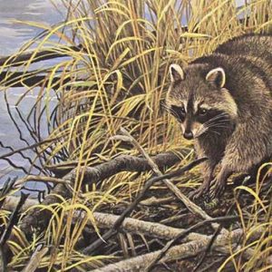 Robert Bateman-Mischief on the Prowl