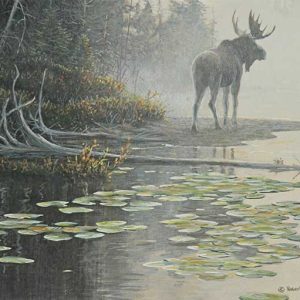 Robert Bateman-Moose at the Waters Edge