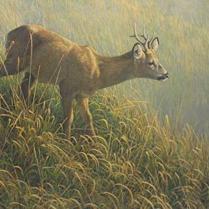 Robert Bateman-Morning Dew Roe Deer