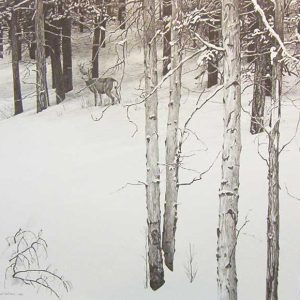 Robert Bateman-Mule Deer in Aspen