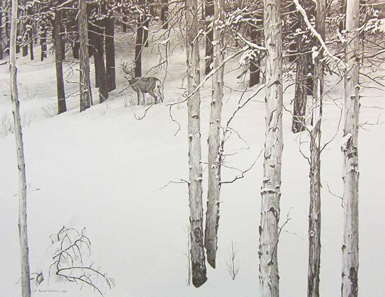 Robert Bateman-Mule Deer in Aspen