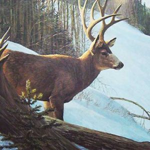 Robert Bateman-Mule Deer in Winter