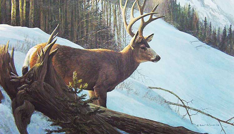 Robert Bateman-Mule Deer in Winter